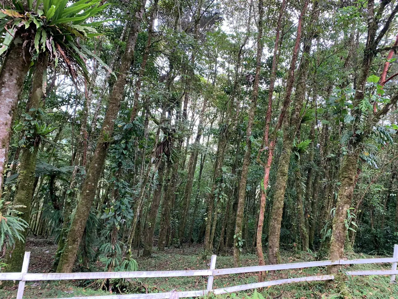 Water National Park