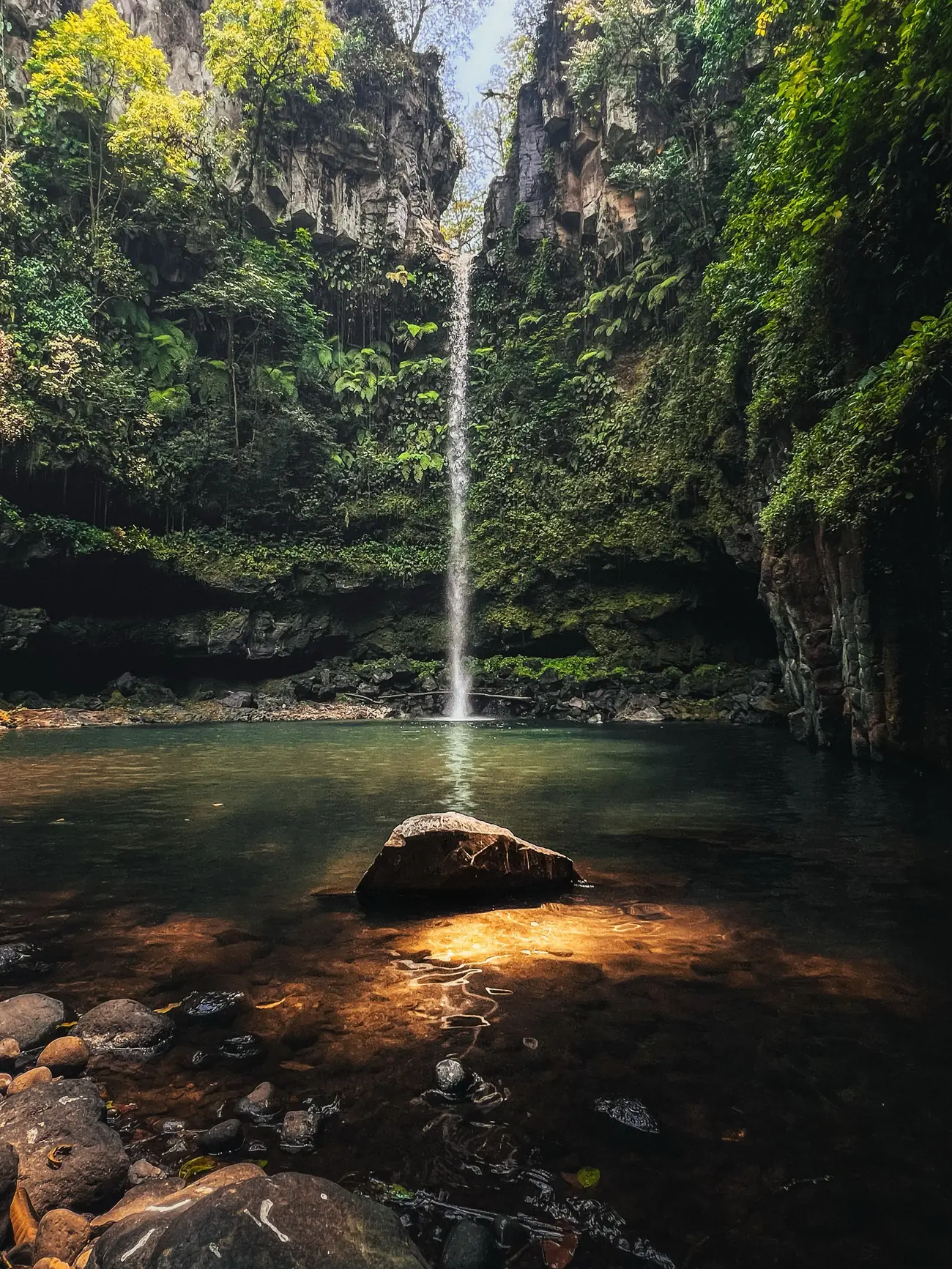 Forest pools