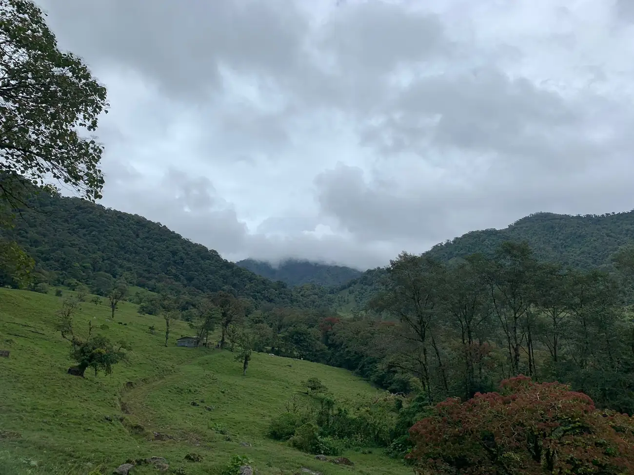 Open valleys