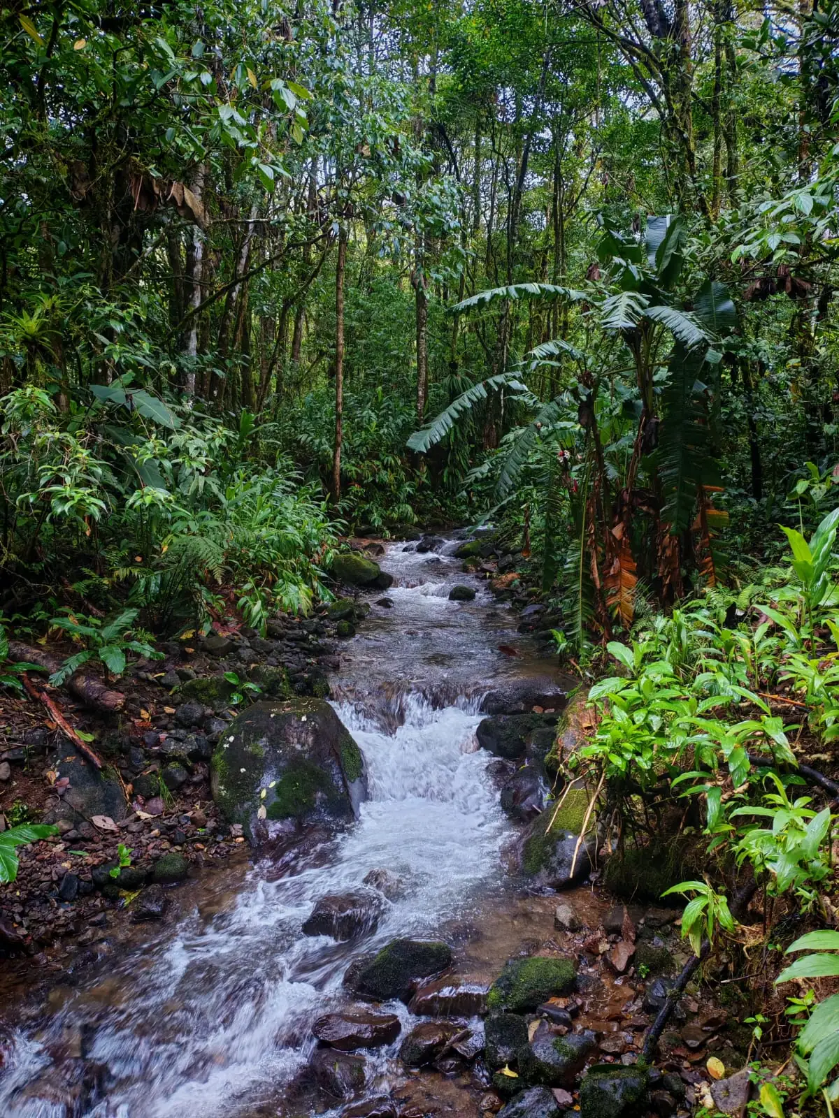 Crystal-clear streams